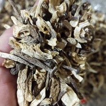 陜西商洛香菇與家用電器銷售 創(chuàng)新融合的多元化經(jīng)營(yíng)新趨勢(shì)