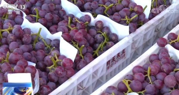 在希望的田野上 蔬菜消費升級引領紫色農產品熱，家用電器銷售迎增長新機