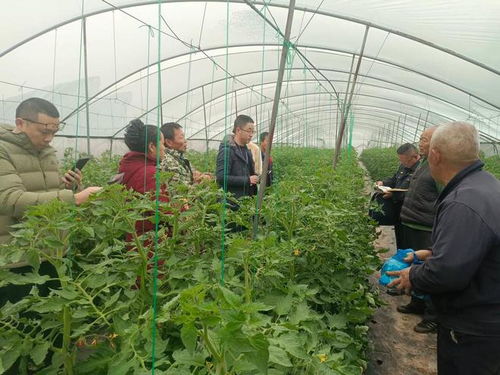 自貢市實(shí)施五個(gè)強(qiáng)化 構(gòu)建食用農(nóng)產(chǎn)品質(zhì)量安全與家用電器銷售協(xié)同發(fā)展新格局